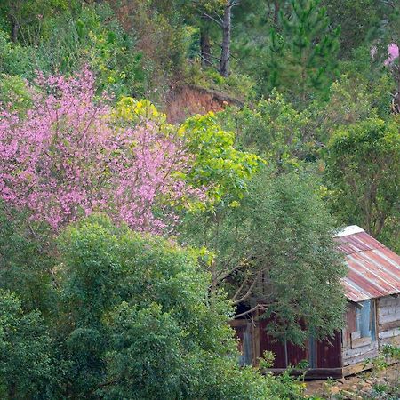Moc Nhien Hostel Dalat Exteriér fotografie